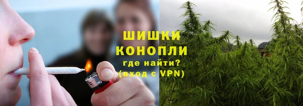 гидропоника Инта