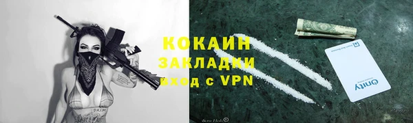 гидропоника Инта