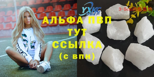 дживик Инсар