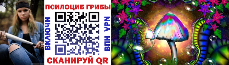 Псилоцибиновые грибы Magic Shrooms  Купить закладки  Вилюйск 